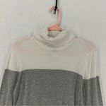 Ann Taylor  ColorBlock Turtleneck Sweater Womens Small White/Grey Photo 1