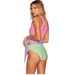Beach Riot pastel Carlie one piece swimsuit Photo 2