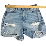 American Eagle  baggy mom shorts size 2 Photo 1