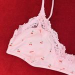 SKIMS fits everybody lace scoop bralette in cherry print size L Photo 1