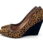 Ava & Aiden Leopard Print Calf Hair Pointed Toe Wedge Heels Black & Tan Size 9.5 Photo 4