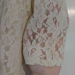 American Eagle  Ivory Lace Half Sleeve VNeck Top Photo 2