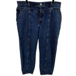 Madewell Balloon Jeans Rigid Denim Yoke High-Rise Retro 80s Sanford Wash 32 Photo 1
