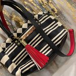 Betsey Johnson Striped Purse Photo 0