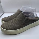 Sofft Slides Mule Womens 6.5M Somers III Taupe Leather Slip On Mules D21 Size 6.5 Photo 2