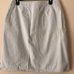 Christopher & Banks Women’s blue and white striped canvas skirt size 10 cotton Photo 5