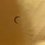 Zyia Yellow Capri leggings Photo 2