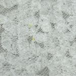 Liv Los Angeles L Sheer Embroidered Robe/Cover up duster long kimono FLAWED White Size L Photo 12