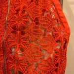 Lush Clothing Lush Orange Lace Fitted Crop Top Photo 6