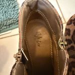Style & Co . Brown Leopard Ankle Booties Photo 2