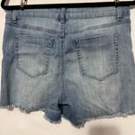 Indigo Rein  Light Blue Jean Shorts Photo 1