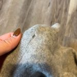 Peck & Peck  100% Cashmere Turtleneck Sweater Photo 2