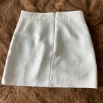 Aritzia Skirt Photo 1