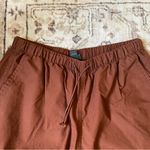 Wild Fable Rust Cargo Pants Photo 4