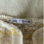 ZARA Large Daisy Sheer Lace Crop Top Photo 1