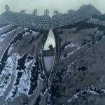 Moon River  Whimsical crushed velvet lace sleeve top Photo 6