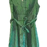 BB Dakota Sleeveless Green and White Striped Button-Down Summer Dress‎ with Tie Belt B43 Photo 0