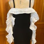 Lavishly Paris Nwt, Women’s Designer Two Tone Ruffle Sleeved Bodycon Dress Photo 0