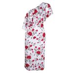 Fame & Partners Aubrieta One Shoulder Ruffle Midi Dress Briar Rose Floral Size 6 White Photo 3