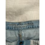 American Eagle Outfitters Vintage High Rise Festival Shorts Blue Women's Size 2 Photo 6