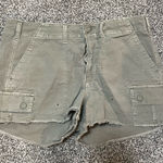 American Eagle  Outfitters Sage Cargo Shorts Photo 0