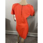 Sharagano  Orange‎ Pencil Dress Size 10 A-5 Photo 2