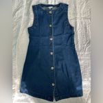 Vigoss Denim Dress Photo 0