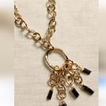 Banana Republic Aureus + Argent Black Tourmaline Charm Necklace Coated Brass Golden Chain Photo 1