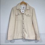 Jack by BB Dakota  Faux Sherpa Ivory Teddy Jacket Size Medium NWT‎ Photo 1