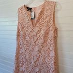 Ming Wang  Battenberg Pink Floral Lace Sheath Dress Photo 1
