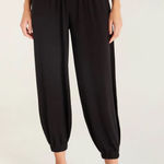 Z Supply Jogger Photo 0