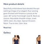 Fame and Partners NWT  Blue Dorsey Gown Photo 1