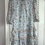 The Impeccable Pig  Dress Size Large Photo 0