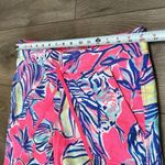 Lilly Pulitzer Galley Linen Pants Tiki Pink Cabana Crazed Linen Size 4 Photo 5