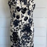 Maggy London  off white and black casual floral sheath dress sz 8 Photo 5