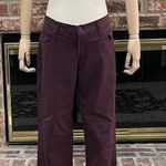 James Jeans “Twiggy” purple high rise skinny jeans / 29 / Excellent condition Photo 9