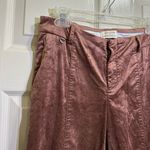 Anthropologie Brown Copper Crushed Velvet Essential Slim Ankle pants size 2 Photo 1