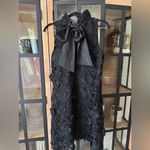 Tuckernuck  Guipure Lace Blythe Dress bow mini sleeveless black tie ruffle neck Photo 8