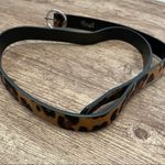 Cheetah Print Belt Size Small/Medium Photo 0