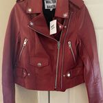 Walter Baker Luxury Leather Jacket  Photo 5