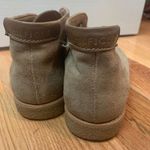 Tommy Hilfiger Booties  Photo 3