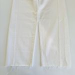Madewell  Curvy Pieced Barrel Leg Jeans Women’s Size 28 Tile White NWT Casual Photo 7
