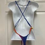 One Piece Sunset and Swim Rainbow Delight Sexy Micro G String Thong Swimsuit Photo 7