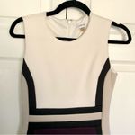 Calvin Klein  White / Tan / Black / Purple Colorblock Scuba Business Dress Size 4 Photo 2