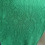 Blue Rain  Green Jacguard Fit and Flare Dress Photo 9