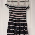 BCBGMAXAZRIA BCBG Tasi black and white striped sequin lace dress size 6 Photo 1
