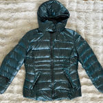 Andrew Marc  Premium Down Puffer Jacket 650 Fill Power – XL Photo 0