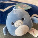 Maeve BNWT Squishmallow  Clip Rare Photo 0