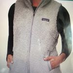 Patagonia Fuzzy Vest Photo 0