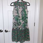 Saloni Tilly Drop Waist Dress Photo 2